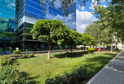 West Gate Business - Spatii birou de la 280 mp - 4