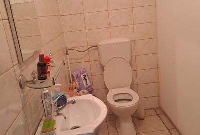 Vand casa în Ucuriș Bihor - 8