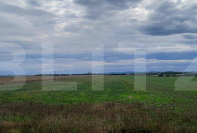 Teren agricol extravilan de 21750 mp, în Semicentral