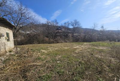 Teren 690 mp, deschidere 50 m, utilități – 1 km Primăria Ștefănești - 4