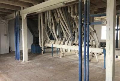Moară cereale 50 t/zi + afacere funcțională | teren + hale | Bihor - 7