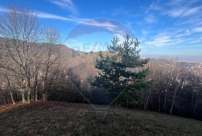 Teren Colinar Panoramic – 17.684 mp în Scheii Brașovului - 11