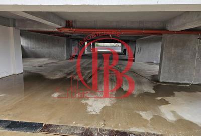 4 Camere Living 60mp Terasa 82mp-Parcare Inclusa-Th. Pallady - 19