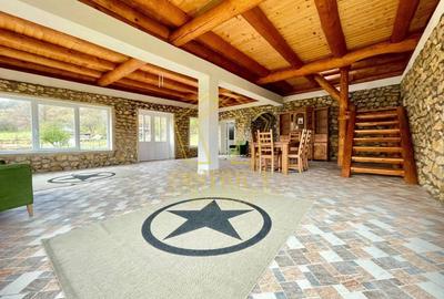 Casa de vacanta/pensiune cu teren de 3780mp | Clisura Dunarii - 13