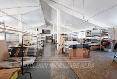 Spatiu industrial | De inchiriat | 1000 mp | 3 m inaltime | Sebes - 3