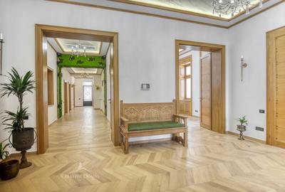 Stirbei Voda - Spatiu de birouri in vila cu garaj - 11