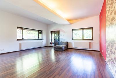 Casă / Vilă cu 5 camere de vânzare Alexandriei/Ion Conea - 27