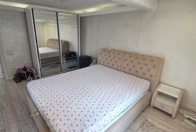 Voluntari, Andronache, vila P+1+M renovata, curte amenajata - 12