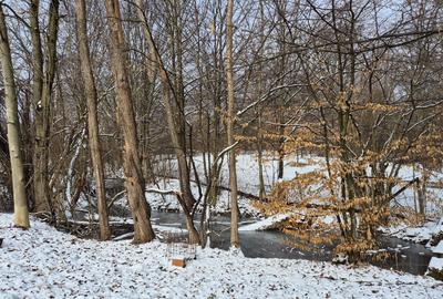 Moșia cu casa în vârf de deal, Scorțeni - Prahova, comision 0% - 14