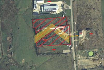 Teren 1,8 ha plus cladiri de vanzare in localitatea Sebis, Arad - 1