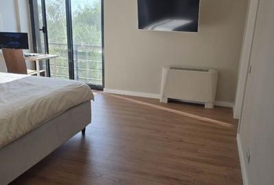 Iancu Nicolae:Apartament  cu 4 camere, mobilat si utilat, compound cu piscina ! - 8