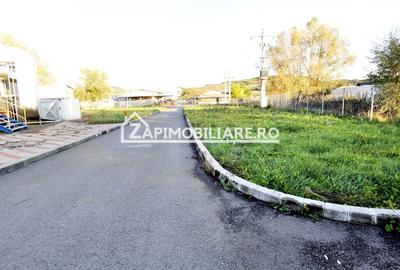 Spatiu de inchiriat Craiesti - 3
