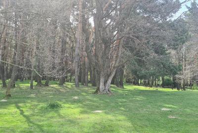 TEREN AGRICOL EXTRAVILAN - RECI - COVASNA - 8