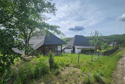 Casa Traditionala din lemn, in Bucovina! Zona Turistica - Cacica! - 15