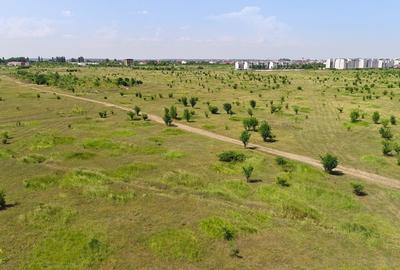 Teren intravilan în Băneasa