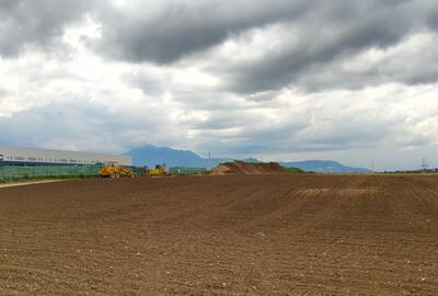 Teren  pentru activitati industriale langa DN 11 - 2