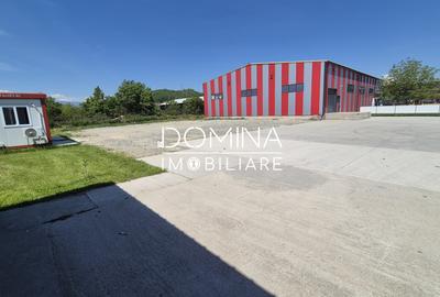 Închiriere teren industrial în Bălești - container și utilități incluse - 2