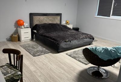 Casa - Parter si mansarda - 5