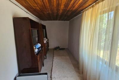 Casa si teren 3500 mp, Stefanesti - Golesti - 5