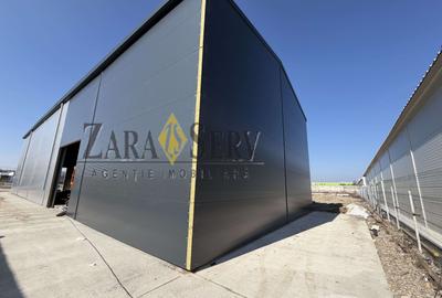 Închiriere hală nouă – 700 mp | Parc Industrial | Acces TIR - 9