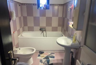 Casa de vanzare in sat Jorasti , suprafata 107 mp , teren 913 mp , imbunatatita - 14