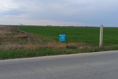 Teren extravilan 5 hectare ( zonă industrială ) Șag - 10