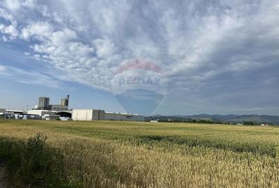 Teren zona industriala Roznov - 1