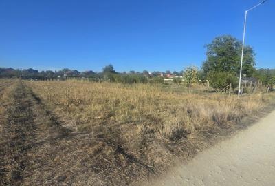 Teren 1000mp ,la intrarea in Filiasi - 1