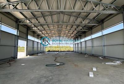 Royal Imobiliare - Inchiriere Hala zona Exterior Nord - 4