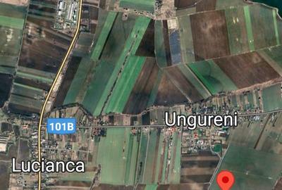 Teren agricol extravilan de 7500 mp, în Ungureni (Butimanu)