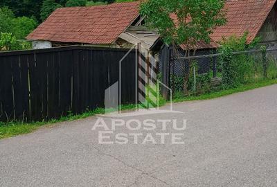 Casa batraneasca de vanzare, 4 camere, in Hunedoara, sat Micanesti - 25
