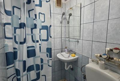 Garsoniera de inchiriat in zona Rond Piata Alba Iulia - 5