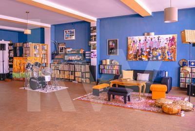 Hotel/Pensiune, 838 mp în Turnișor