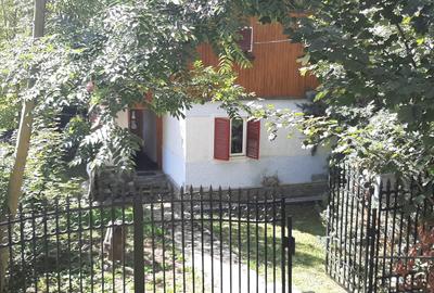 Azuga-Satul Nou casa individuala 3camere, p+m , teren 221mp - 15
