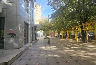 Apartament Duplex – Bulevardul Unirii -Rond Alba Iulia - 2