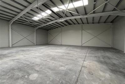 Inchiriere depozit/hala/spatiu industrial Chiajna - Chitila - Rudeni - 7