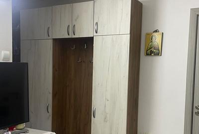 Apartament 2 Camere,Titan,Nicolae Grigorescu,et.3/10,DECOMANDAT,Amenajat - 4