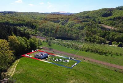 Proprietate de vanzare langa liziera pădurii Coas - 5