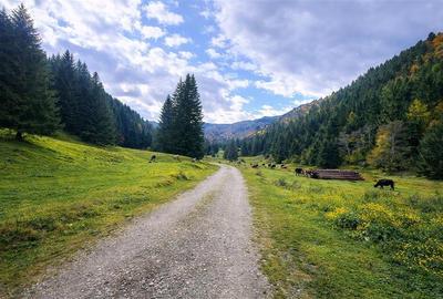 Teren intravilan panoramic 4.600mp,view iconic Piatra Craiului,oportunitate prem - 13