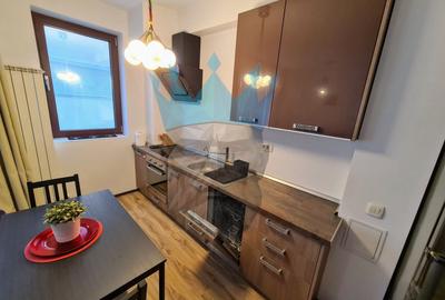 Apartament 2 Camere Herastrau Bucuresti - 12