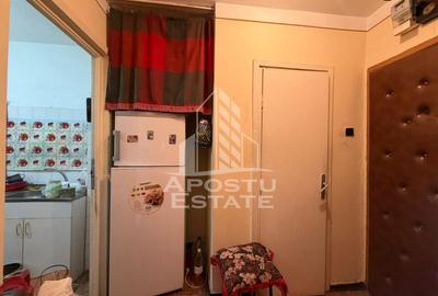 Apartament cu 2 camere, de vanzare, zona Iosefin, Timisoara - 3