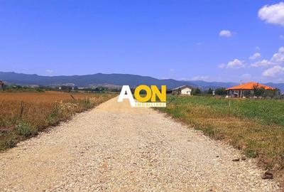 Teren intravilan construibil, 600 mp, cu autorizatie, Ciugud - 1