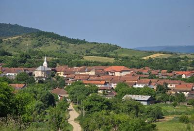 Casa de vanzare la sosea in Girbovat, langa Bozovici, 5 camere - 13