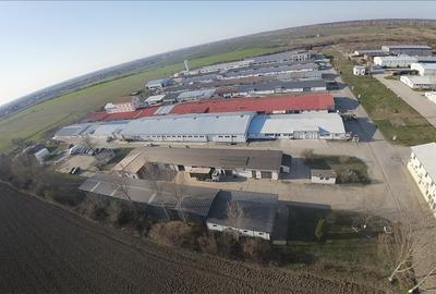 Hala Industriala 2019, Careiului nr. 11, Vetiș, Satu Mare 447355. - 9