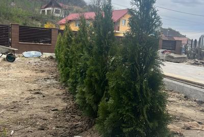 Duplex cu 5 camere în Livezeni