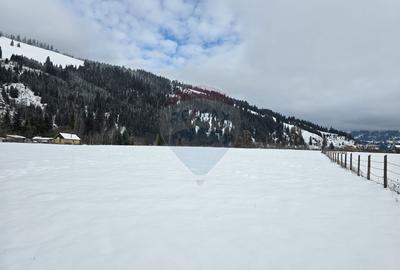Vanzare Teren 13.650 mp , Suceava / com.Dorna Arini - 2