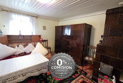 Gospodărie tradițională în localitatea SECUIA, la 10 km de Vaslui; - 7