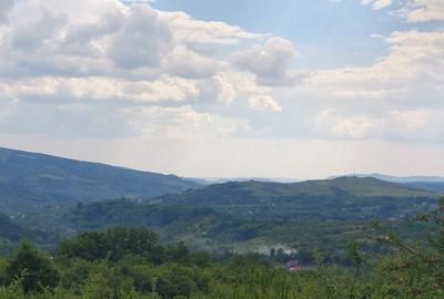 Teren intravilan – 9.000 mp, sat Ogretin, comuna Drajna, jud. Prahova - 3