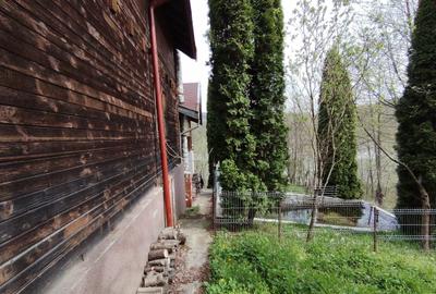 Proprietate de vacanta Valea Oltului - BREZOI - 3