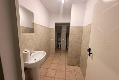 Spatii pentru birouri in Sema Parc - 19